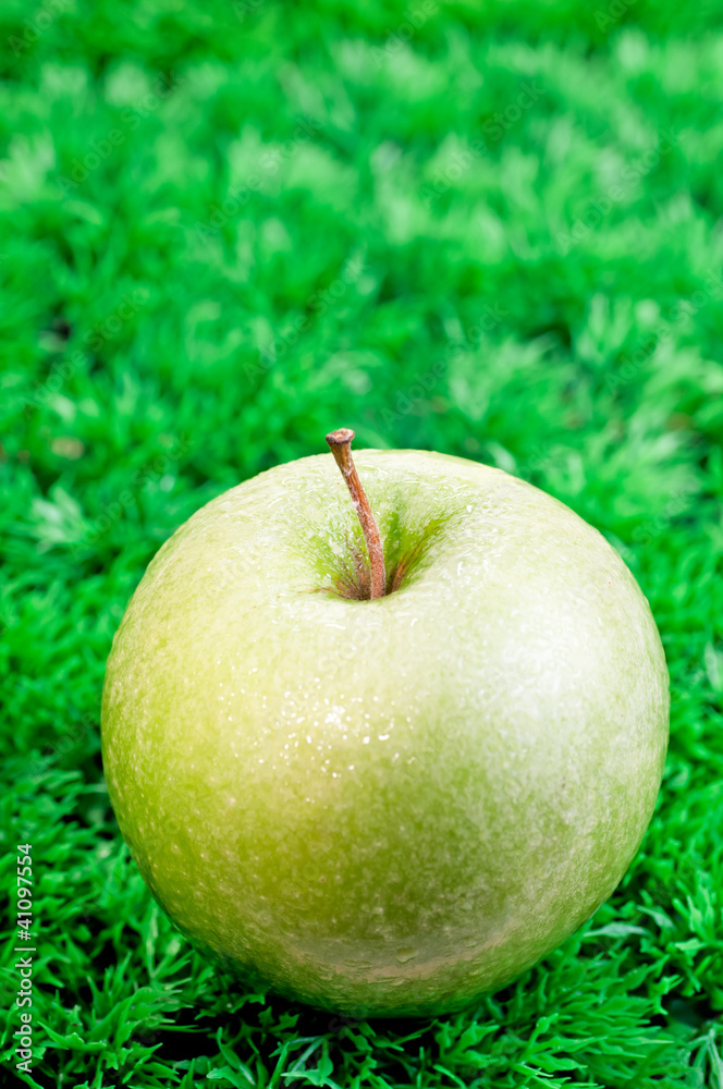 Green apple close up