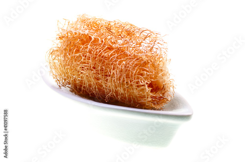 Obraz na płótnie Loofah close up