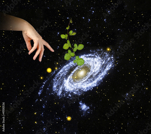 Plant at center of galaxy.Elements of this image furnished by NA #41100536