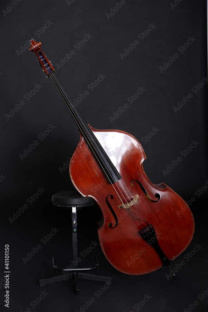 Fototapeta premium Contrabass in front of black background