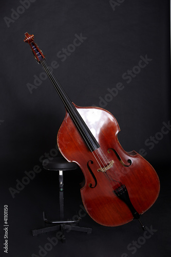 Contrabass in front of black background