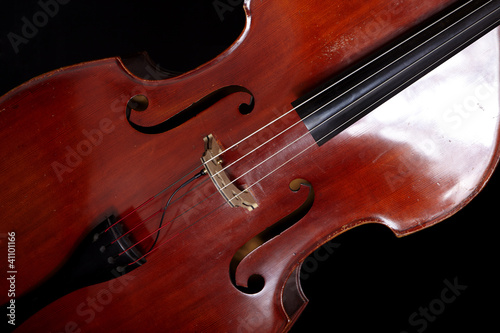 Contrabass in front of black background