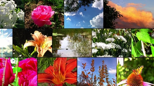 Natural flower collage
