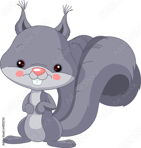 Fun zoo. Gray squirrel