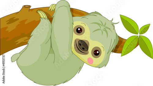 Fun zoo. Sloth