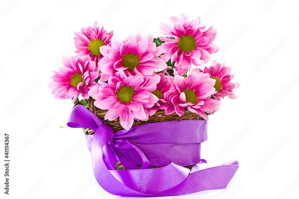 chrysanthemums in the basket chrysanthemums in the basket