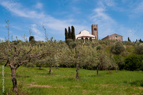 Pieve Santo Stefano a Lucca photo