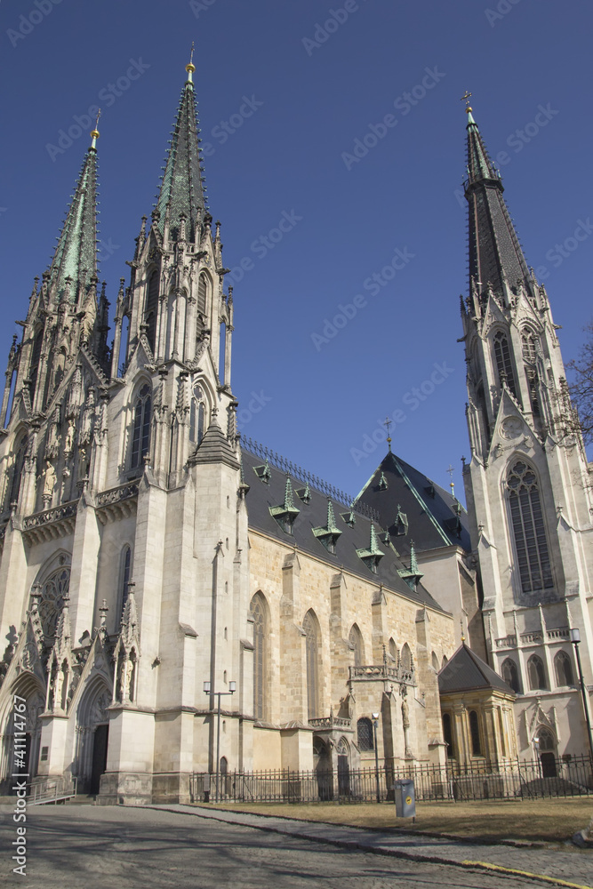 Obraz premium Saint Wenceslas Cathedral in Olomouc (Czech Republic)