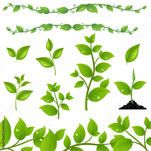Set Leaves