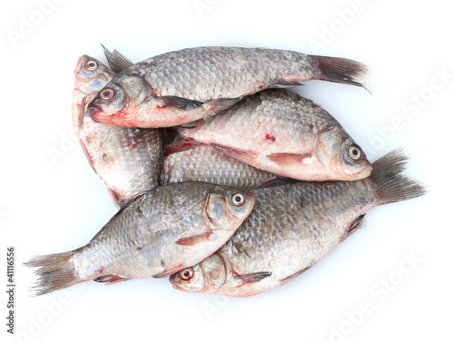 Fresh fishes isolated on white