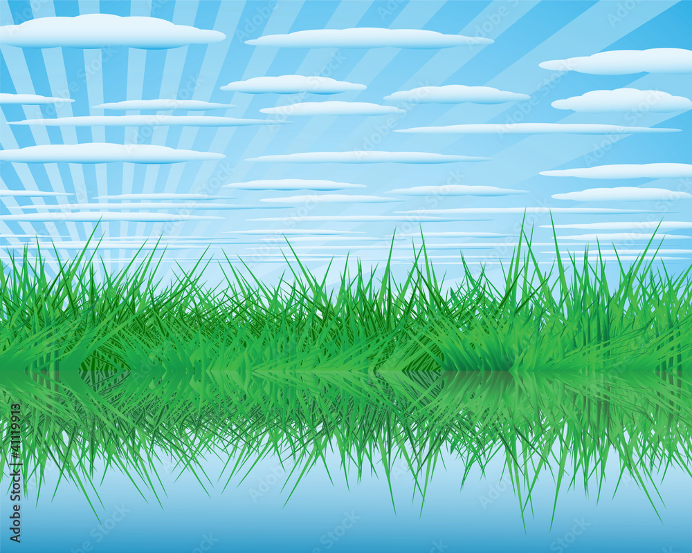 Fototapeta premium Summer Landscape