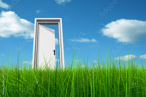 Conceptual white door in grass over a blue sky
