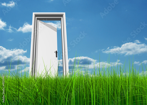 Conceptual white door in grass over a blue sky