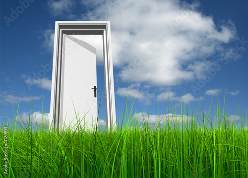 Conceptual white door in grass over a blue sky