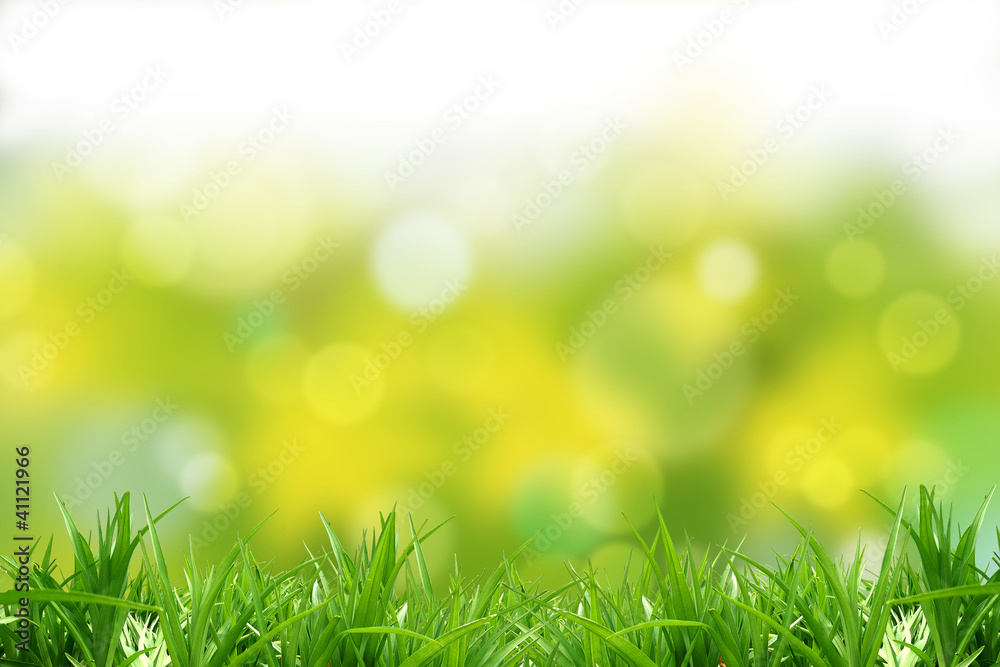 Grass and background Grass and background