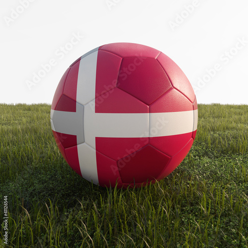 denmark soccer ball isolated on grass