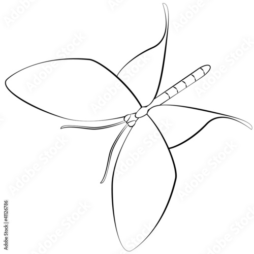 Cartoon butterfly.