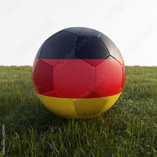 german soccer ball isolated on grass