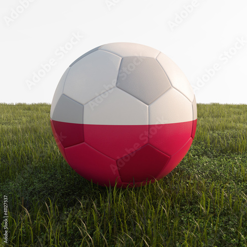 poland soccer ball isolated on grass