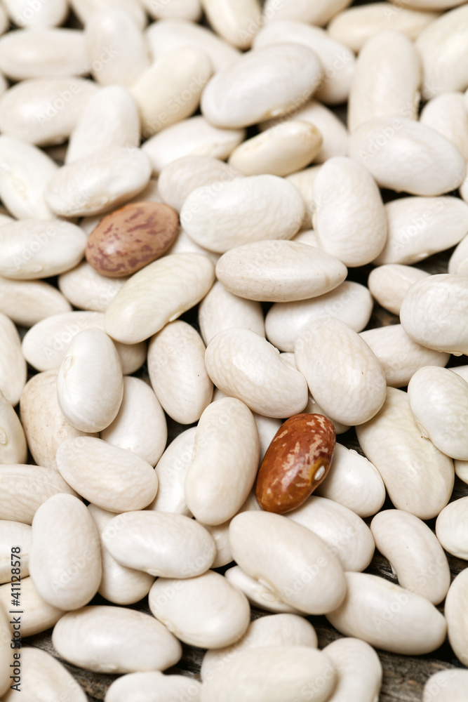 white beans background white beans background