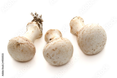 Champignons