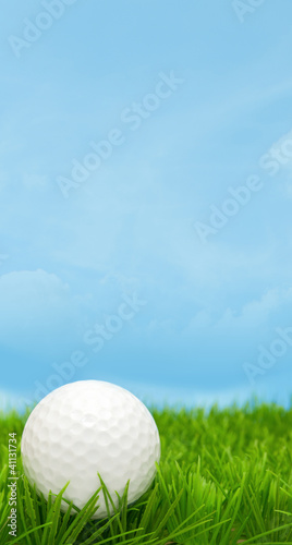 Golf Ball