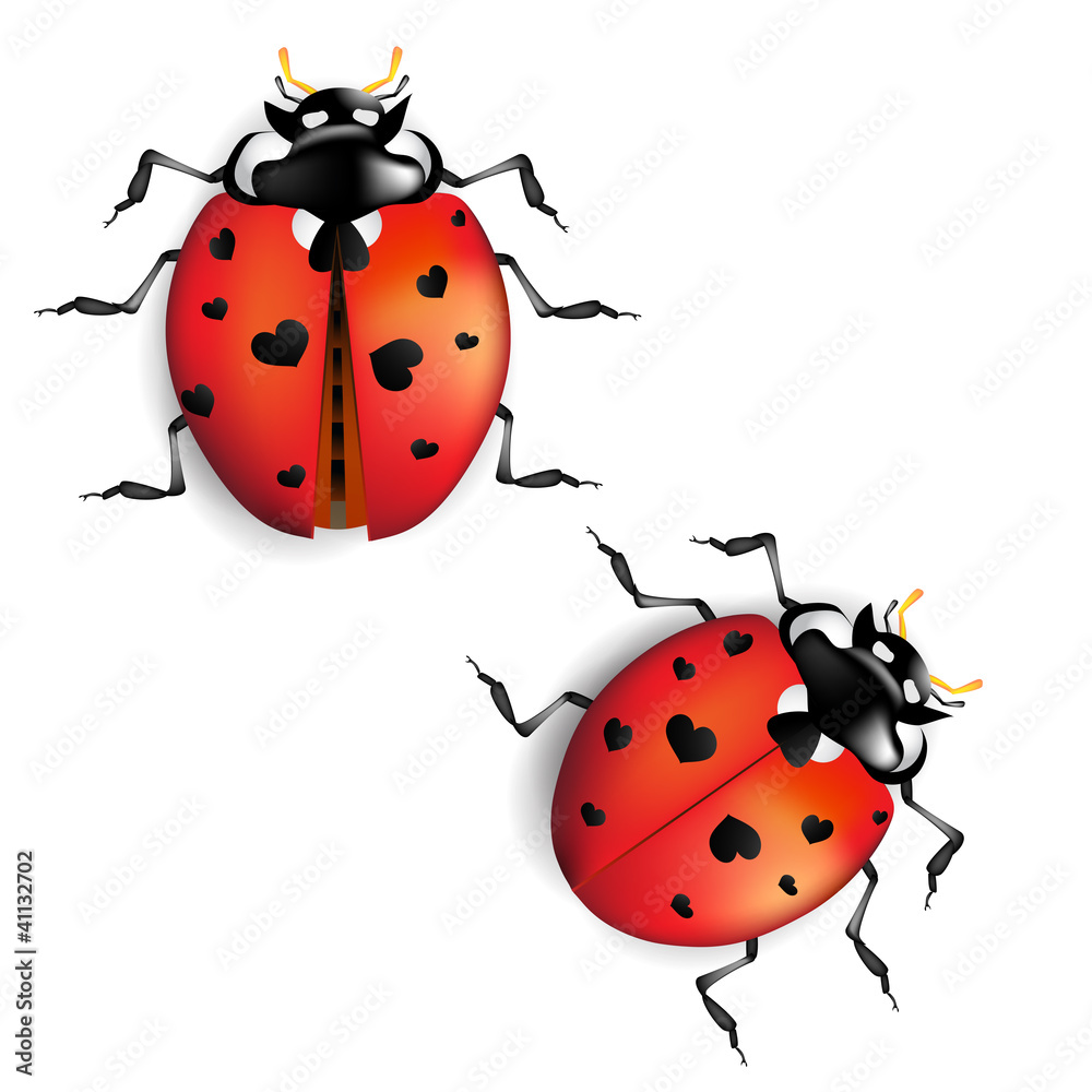 Fototapeta premium Ladybug with hearts on back