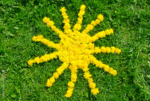 Sonnensymbol aus Blüten auf grüner Wiese photo