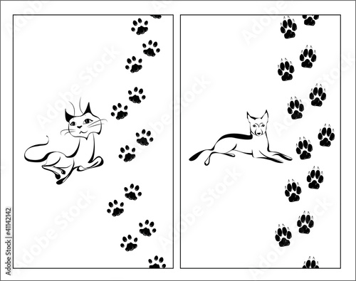 Cat and dog and footsteps
