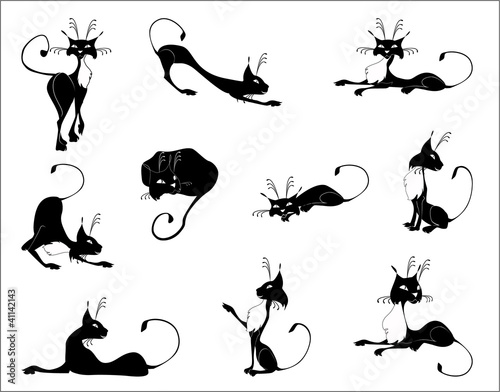 Black cats