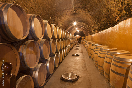 Bilde på lerret Bodega en la Ribera del Duero