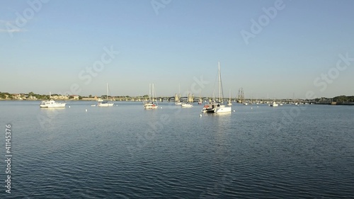 St. Augustine Bahia photo