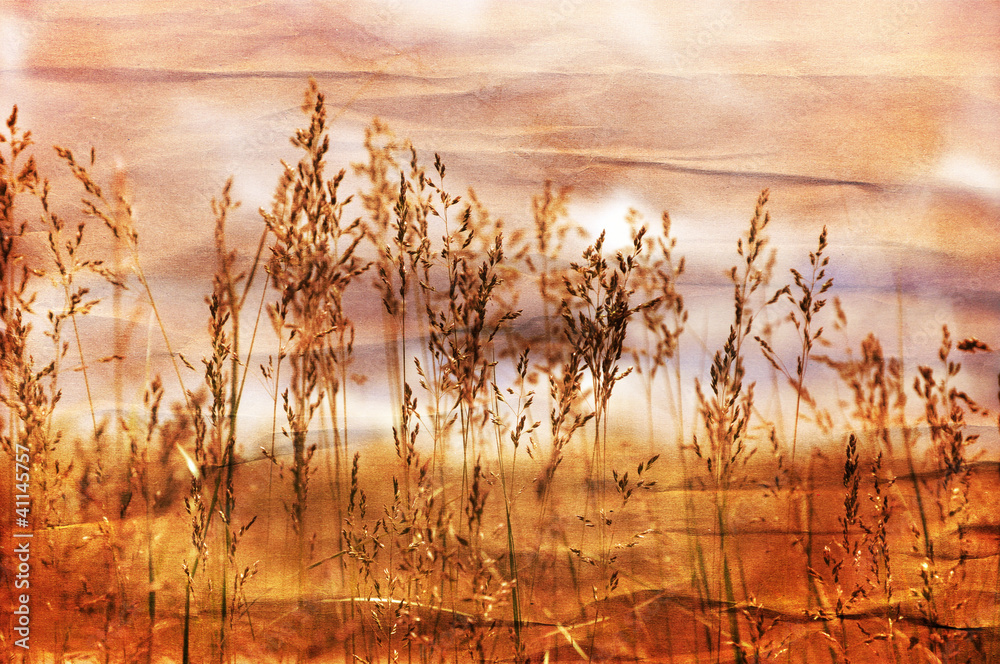 Obraz premium Nature Background