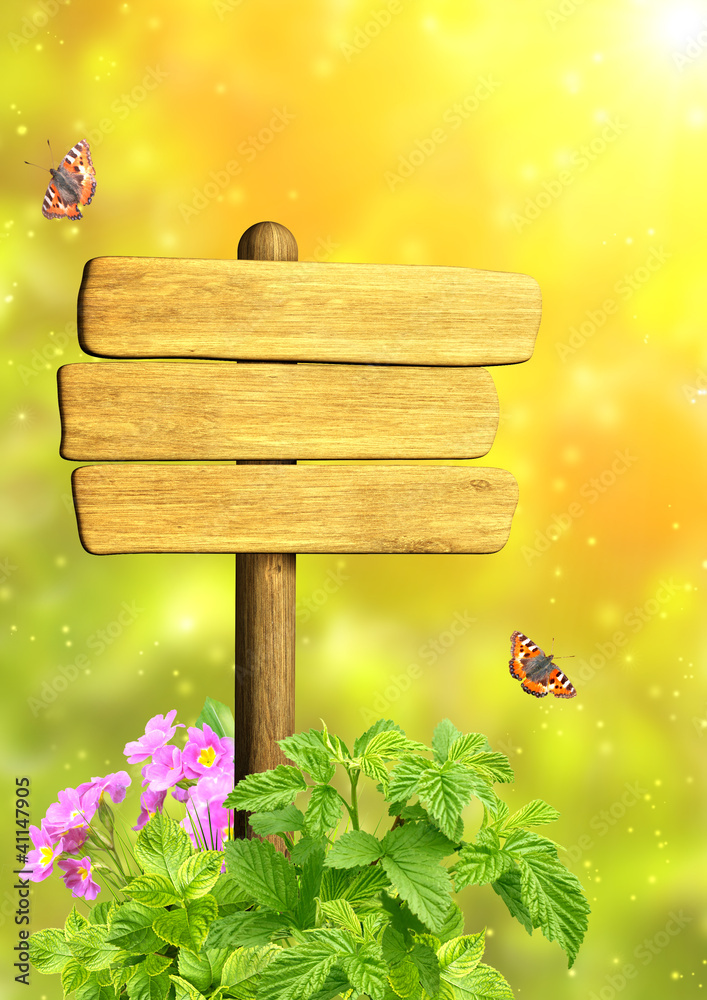 Fototapeta premium Message of nature