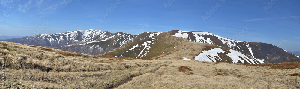 Mountains with meadows in the spring
