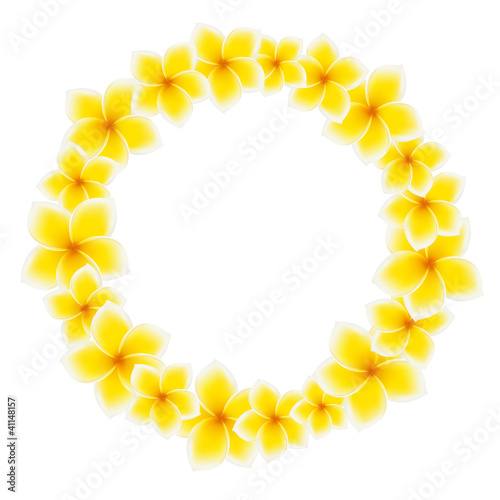Circle of Frangipani flowers. Asian yellow flower
