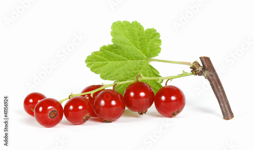 Redcurrants on the withe background