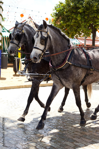Horse carriage in Seville, Spain © Zai Aragon