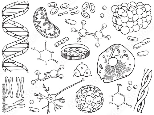 Biology and chemistry icons isolated