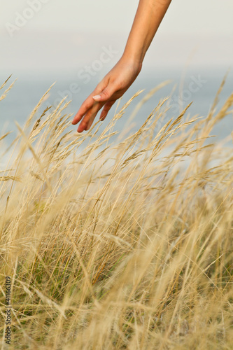 hand on grass