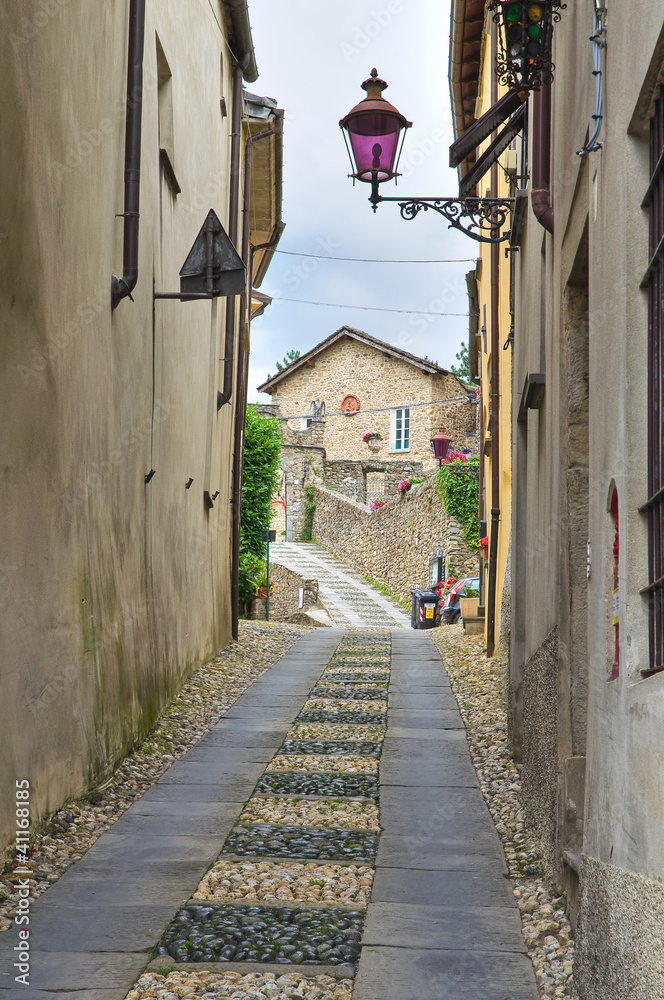 Alleyway. Compiano. Emilia-Romagna. Italy.