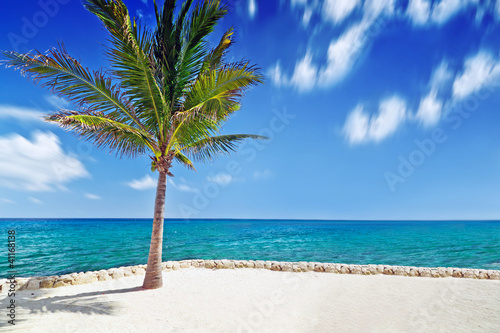 Fototapeta Naklejka Na Ścianę i Meble -  Idyllic scenery of Caribbean sea with lonely palm tree