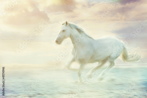 Obraz na plátně fantasy white horse