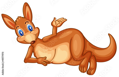 Kangaroo