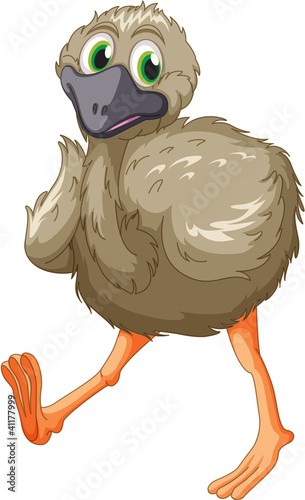 Emu cartoon