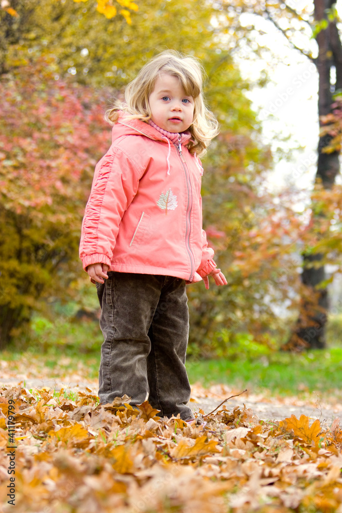 Fall Fall
