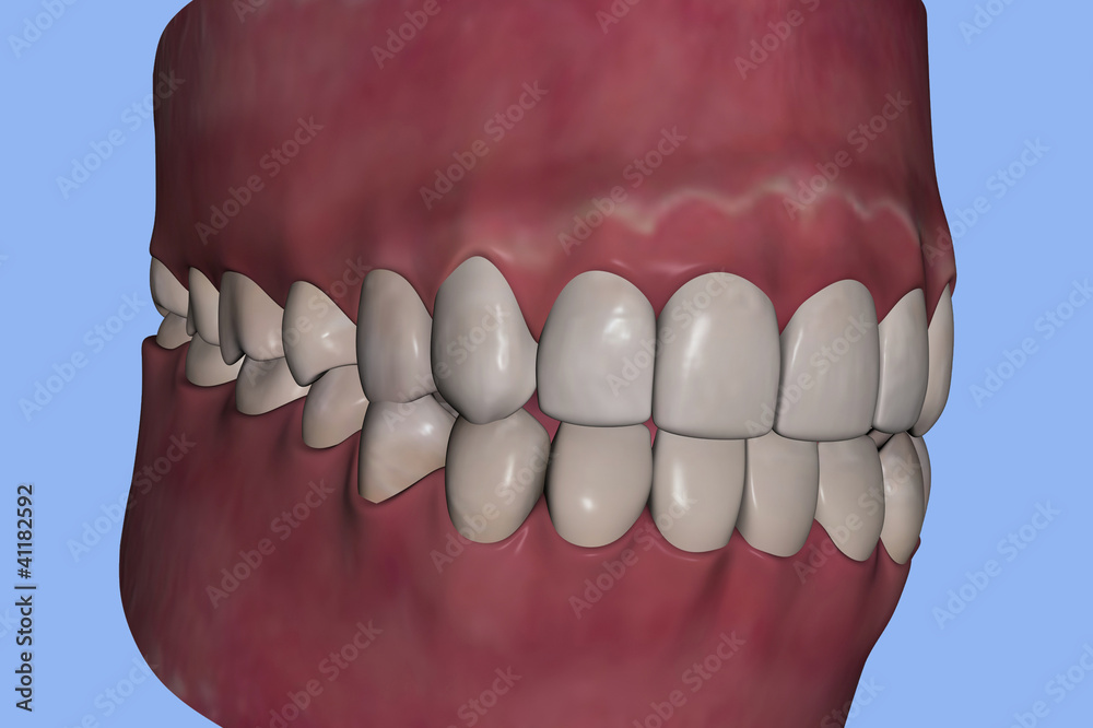 DENTI 3D ilustración de Stock | Adobe Stock