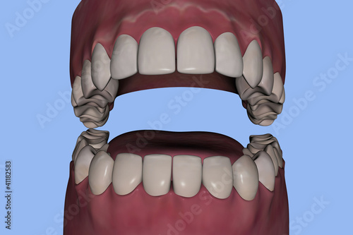 DENTI 3D photo