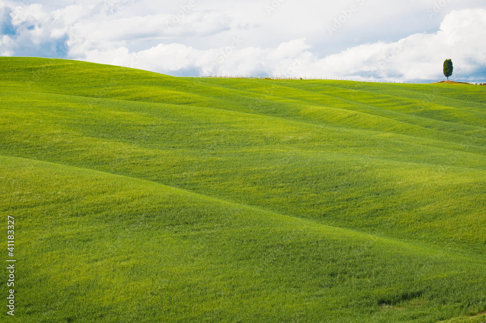 Fototapeta premium Tuscany landscape
