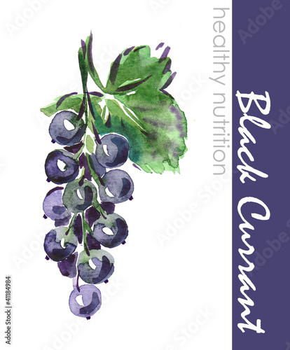 Hand Painted Black Currant